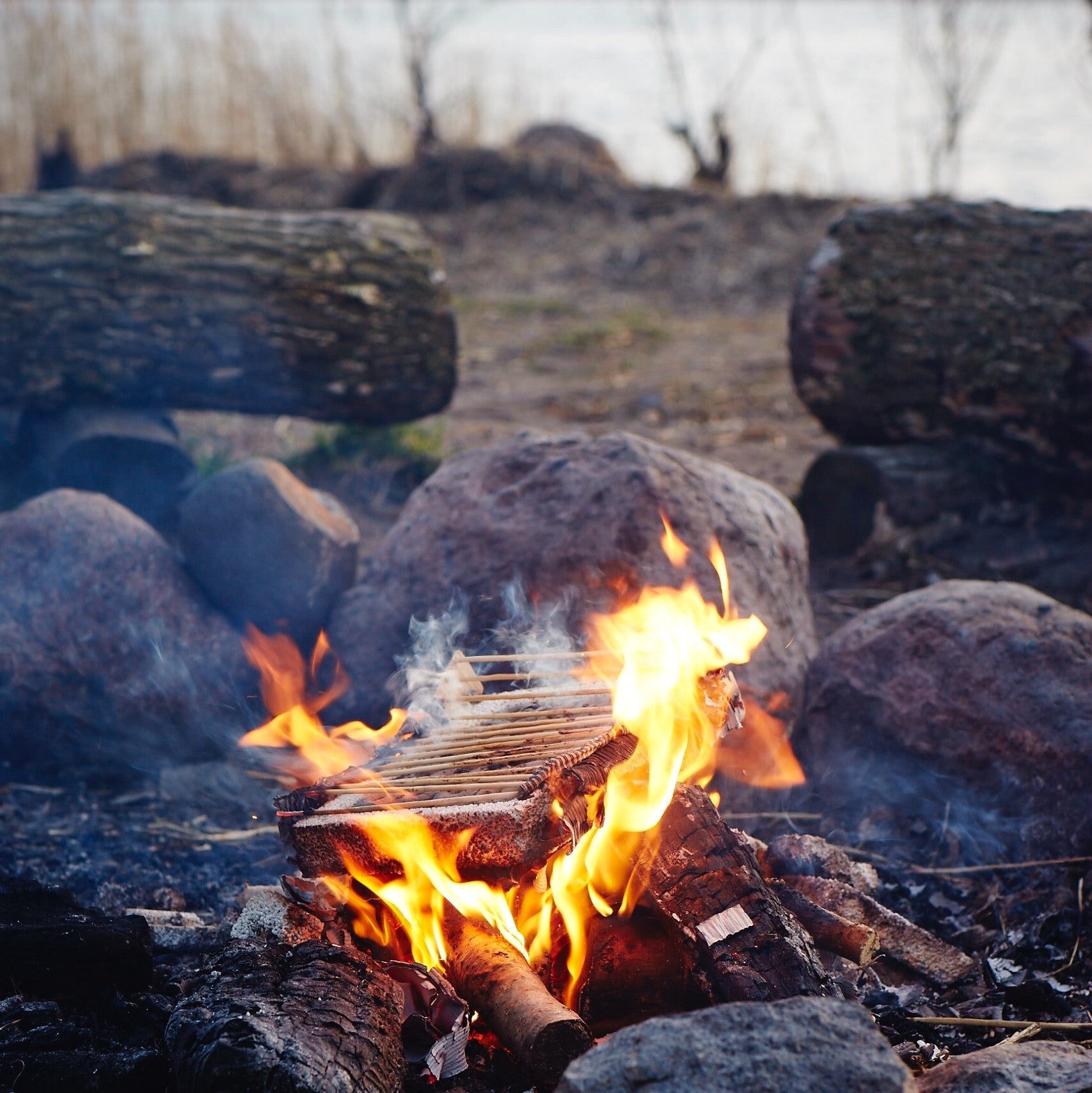 CasusGrill - Pack of 3 myCOOLMAN | Portable Fridges & Freezers